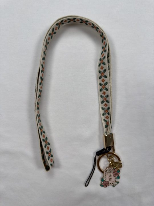 Purse Chain Straps Metal Leather Strap Replacement for Shoulder Cross Body Bag Handbag